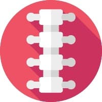Spine Surgery